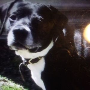 Meet your Posher, Alisa